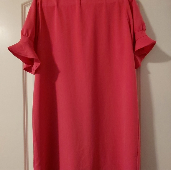 Pink Dress with Ruffle Sleeves - Picture 7 of 10